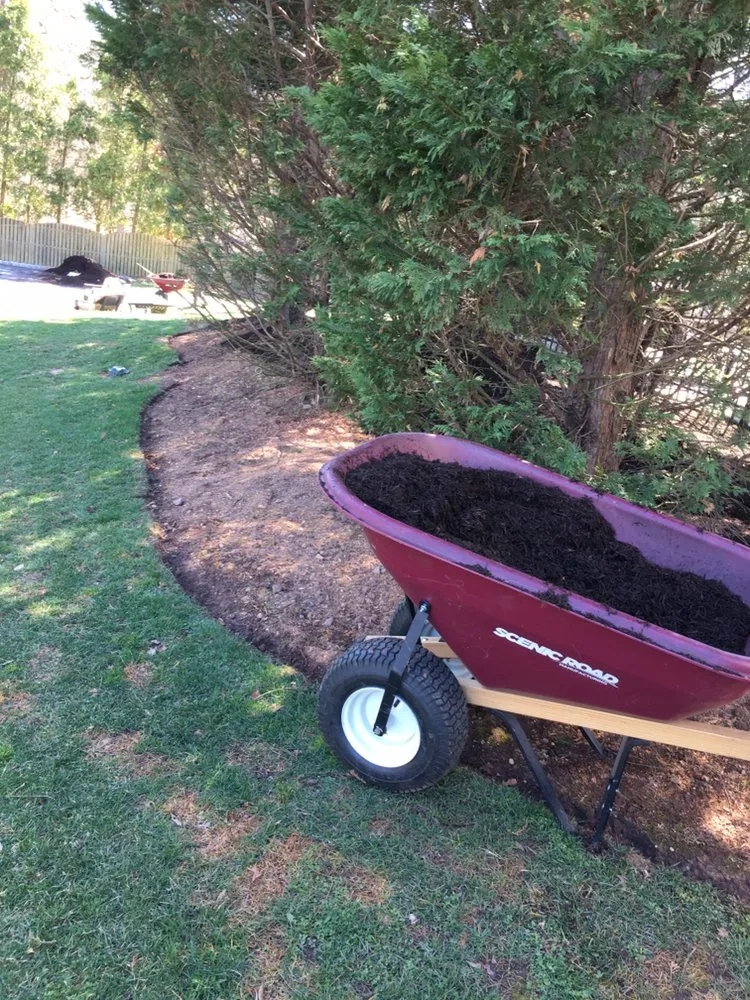 Expert yard maintenance in Norristown, PA - Flores Lanadscaping Tree Service