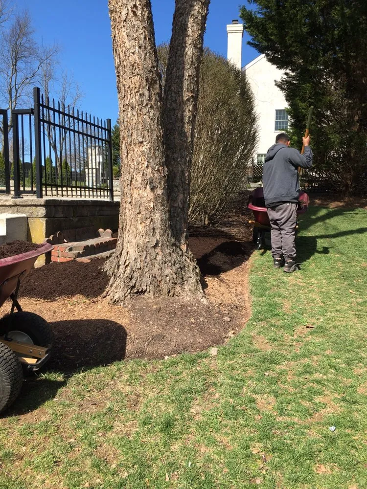 Local landscape installation experts serving Norristown, PA - Flores Lanadscaping Tree Service