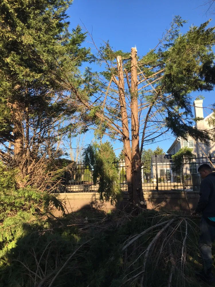 Custom landscaping services experts serving Norristown, PA - Flores Lanadscaping Tree Service