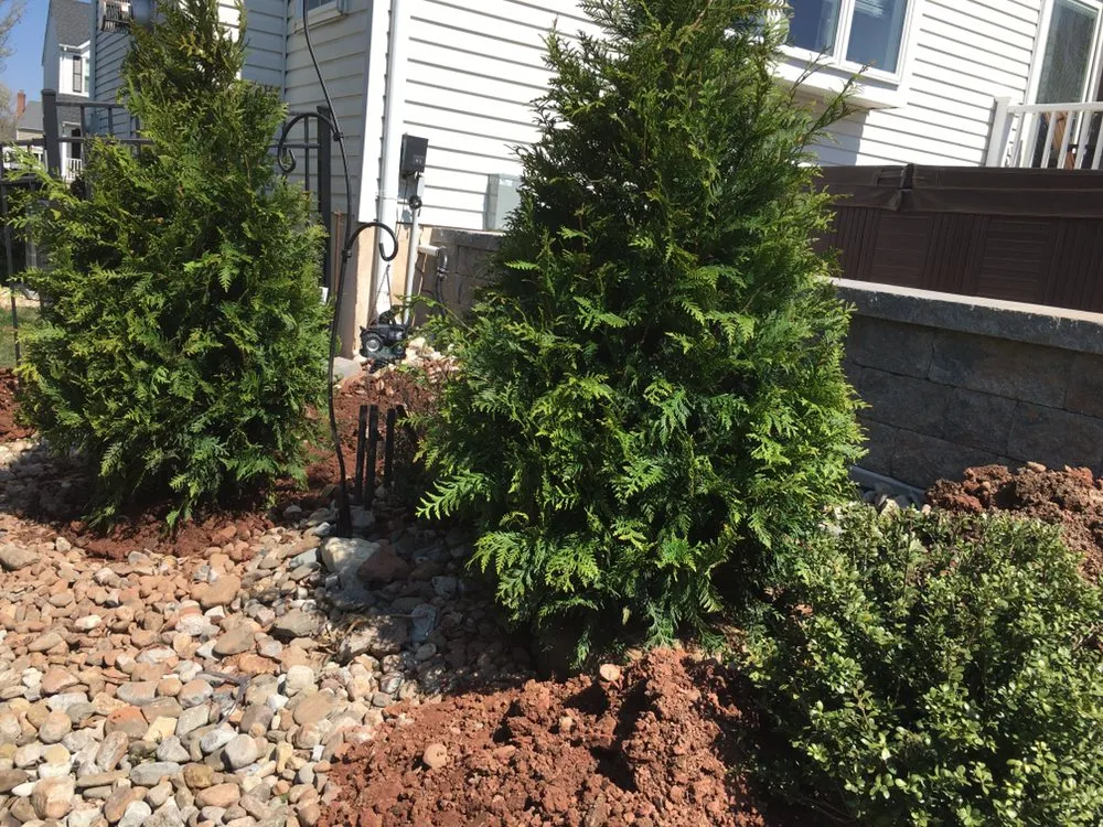 Expert yard cleanup service for year-round maintenance in Norristown, PA by Flores Lanadscaping Tree Service