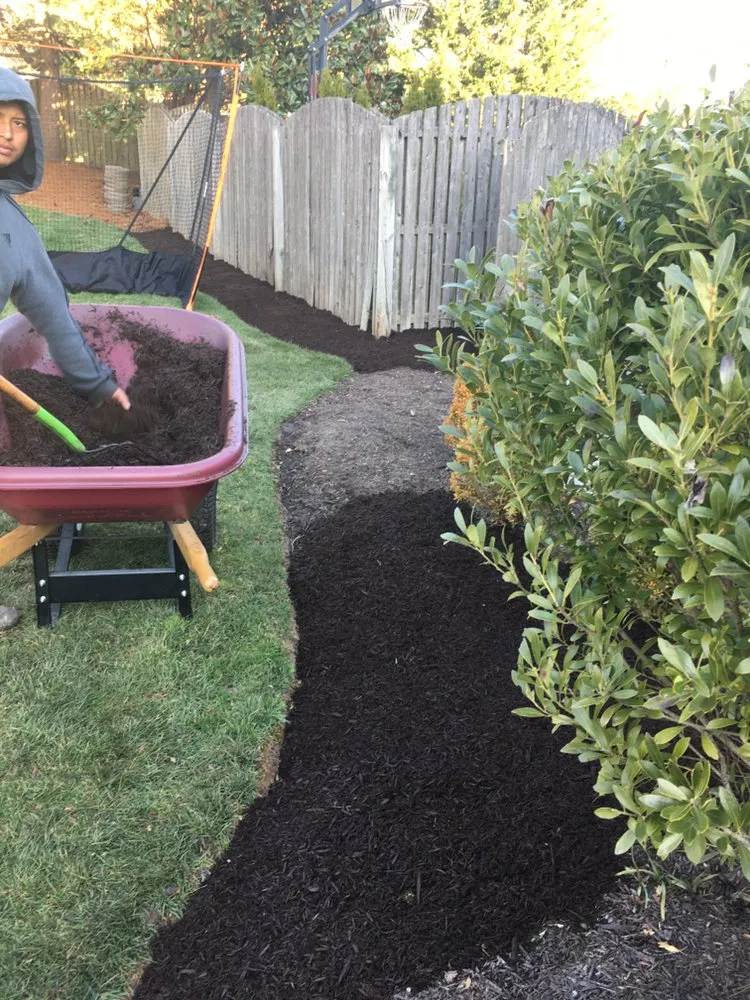 Affordable outdoor landscaping in Norristown, PA - Flores Lanadscaping Tree Service