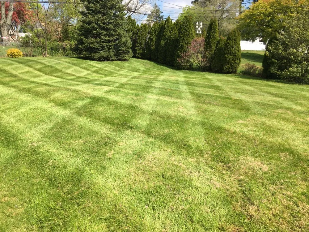 Local residential landscaping for outdoor upgrades in Norristown, PA by Flores Lanadscaping Tree Service
