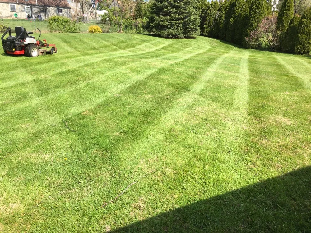 Trusted yard cleanup service experts serving Norristown, PA - Flores Lanadscaping Tree Service