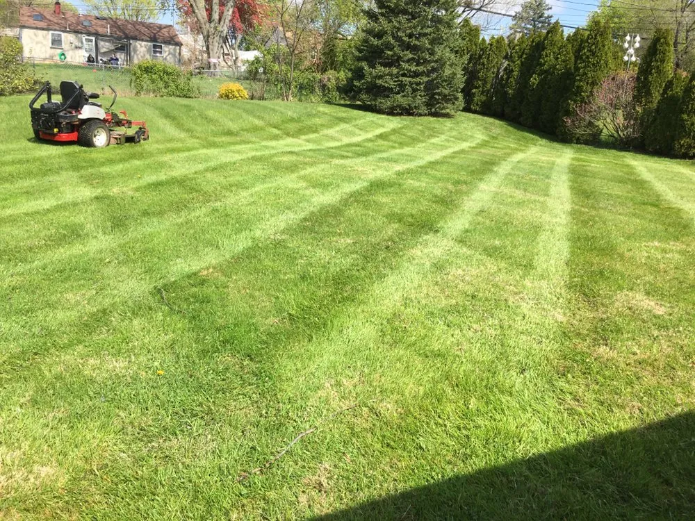 Local landscape installation for residential properties in Norristown, PA by Flores Lanadscaping Tree Service