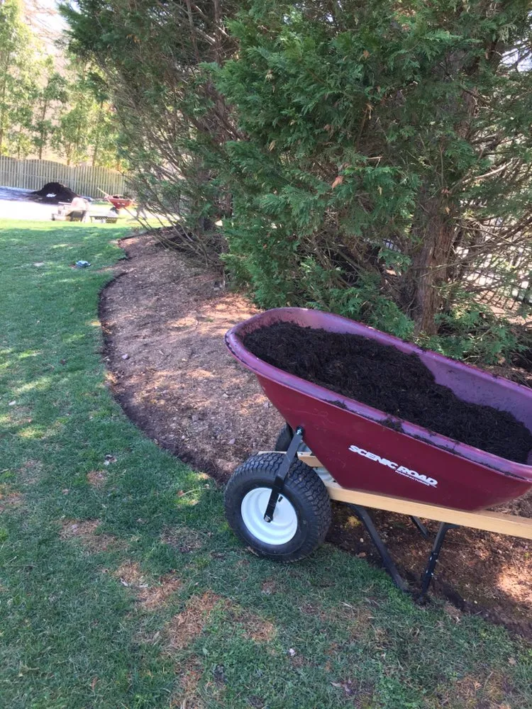 Custom yard cleanup service in Norristown, PA by Flores Lanadscaping Tree Service