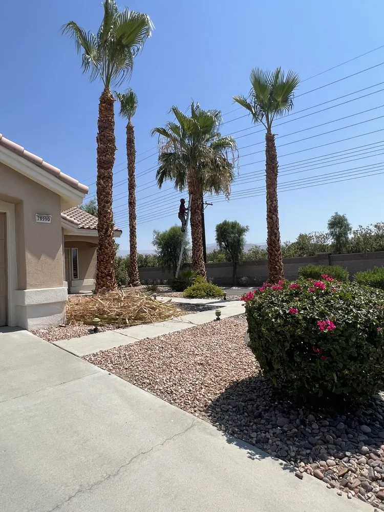 Affordable landscape design in Desert Hot Springs, CA by Flores Landcare