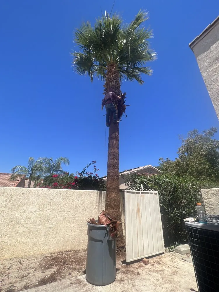 Reliable lawn care service for beautiful yards across Desert Hot Springs, CA - Flores Landcare