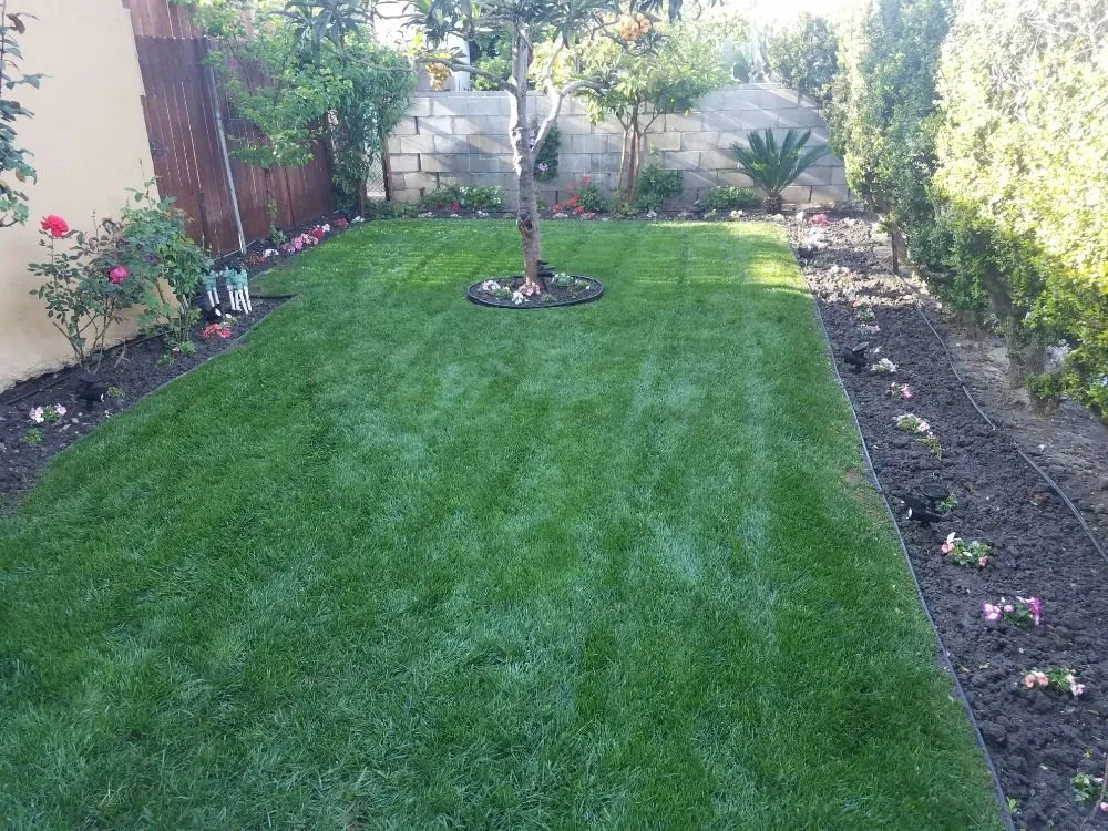 Trusted outdoor landscaping in Los Angeles, CA by Flores Landscape and Construction