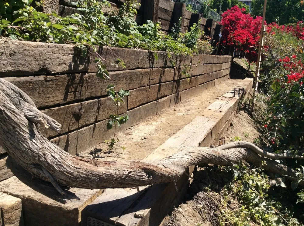 Affordable landscaping services in San Juan Capistrano, CA - Flores Landscape and Construction