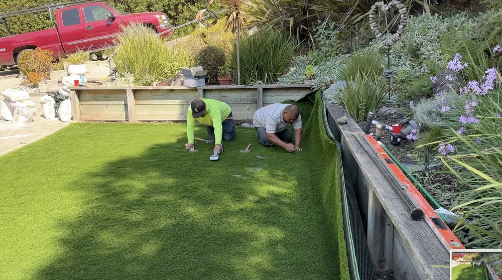Affordable lawn mowing service in Berkeley, CA by Flores Landscape and Tiles