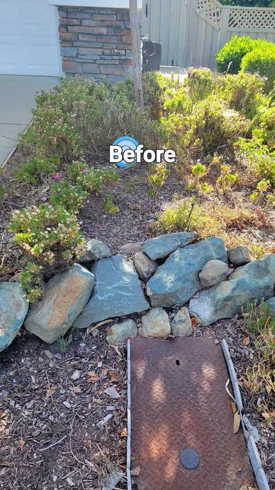 Affordable garden landscaping for residential properties across Sacramento, CA - Flores landscape