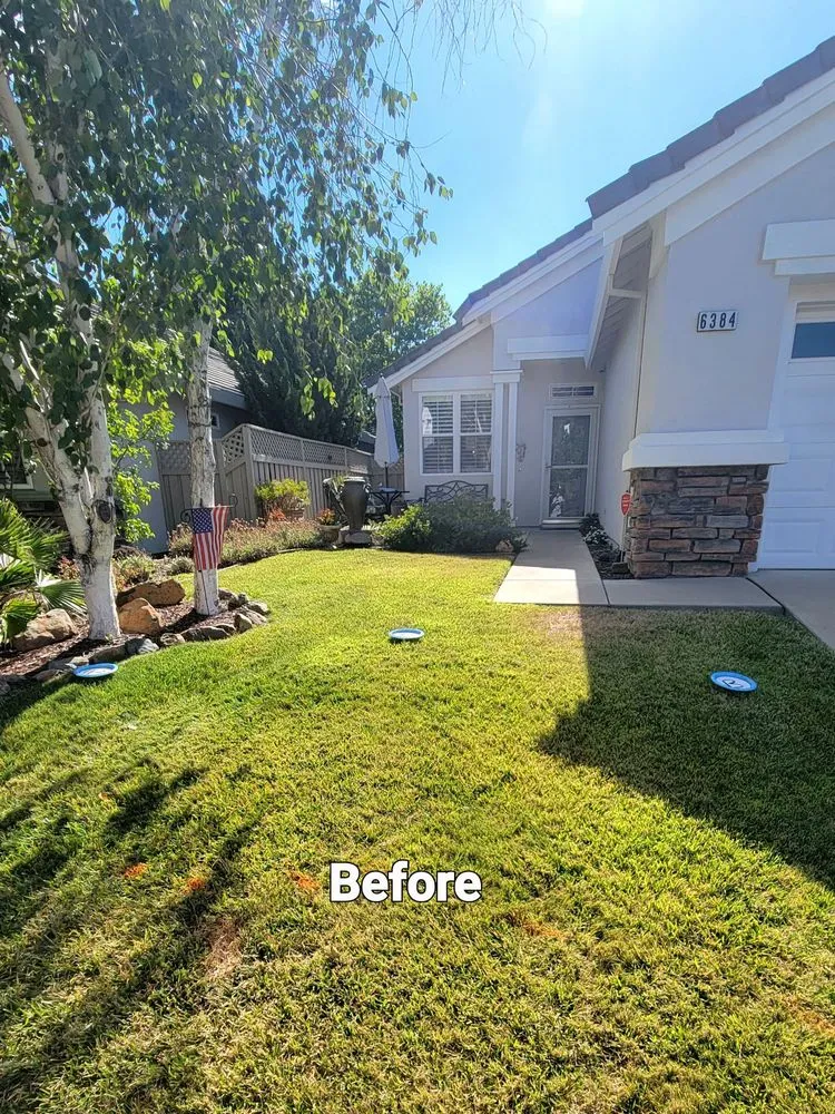 Expert yard cleanup service experts serving Sacramento, CA - Flores landscape