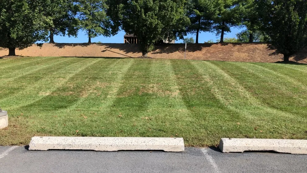 Affordable landscape design in Harrisburg, PA by Flores Landscape Services