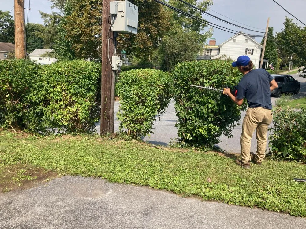 Reliable lawn mowing service for beautiful yards across Harrisburg, PA - Flores Landscape Services