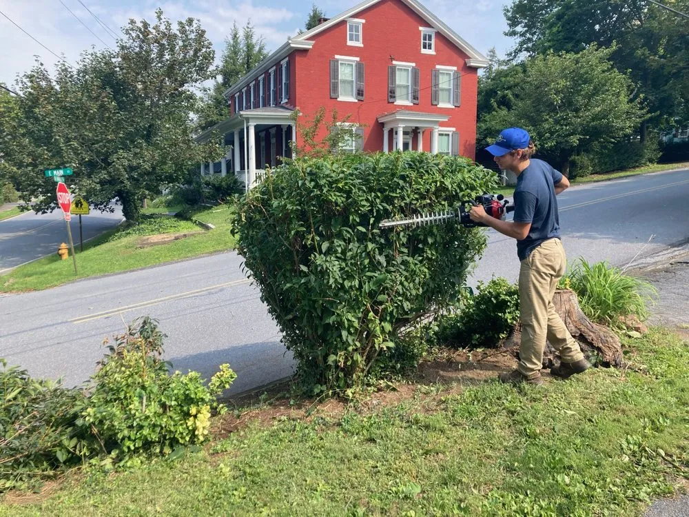 Top-rated yard cleanup service for homes across Harrisburg, PA - Flores Landscape Services