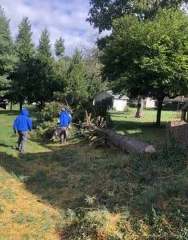 Reliable yard cleanup service in Harrisburg, PA by Flores Landscape Services