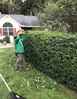 Expert yard cleanup service for homes across Harrisburg, PA - Flores Landscape Services