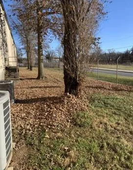 Top-rated landscape design for year-round maintenance across Harrisburg, PA - Flores Landscape Services