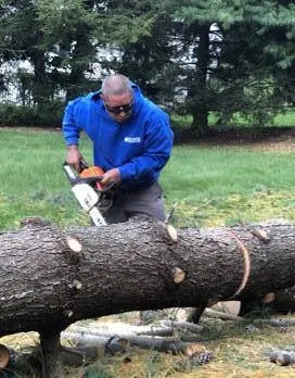 Expert lawn mowing service for year-round maintenance in Harrisburg, PA by Flores Landscape Services