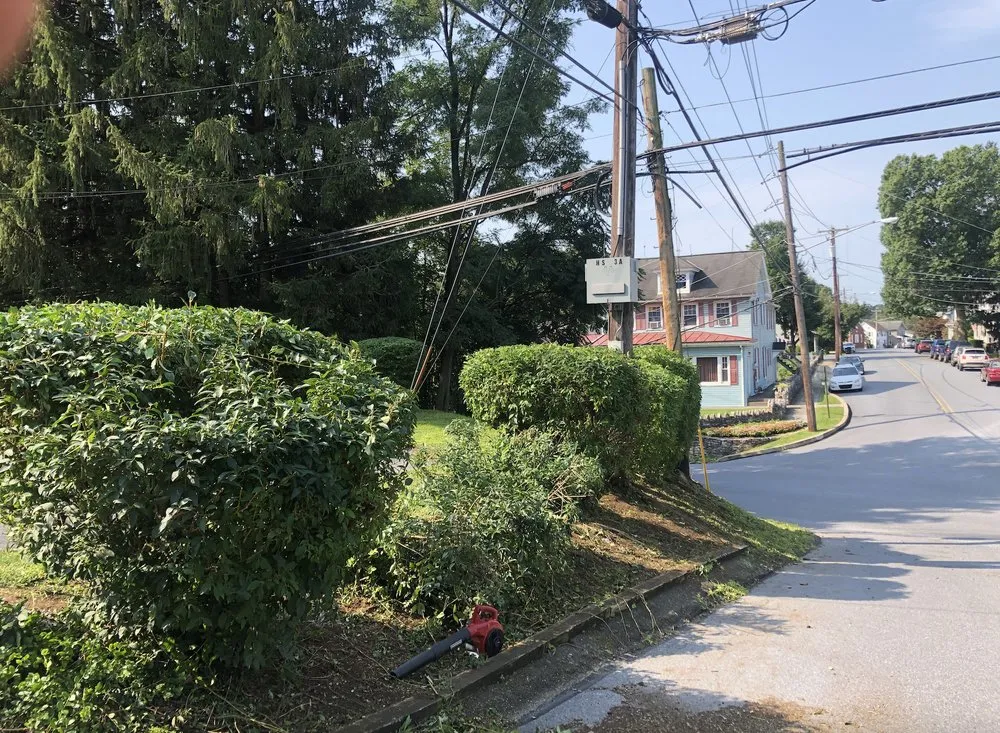 Professional residential landscaping in Harrisburg, PA by Flores Landscape Services