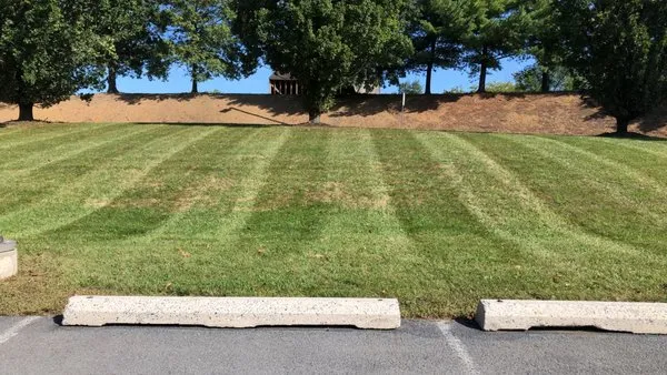 Flores Landscape Services Logo