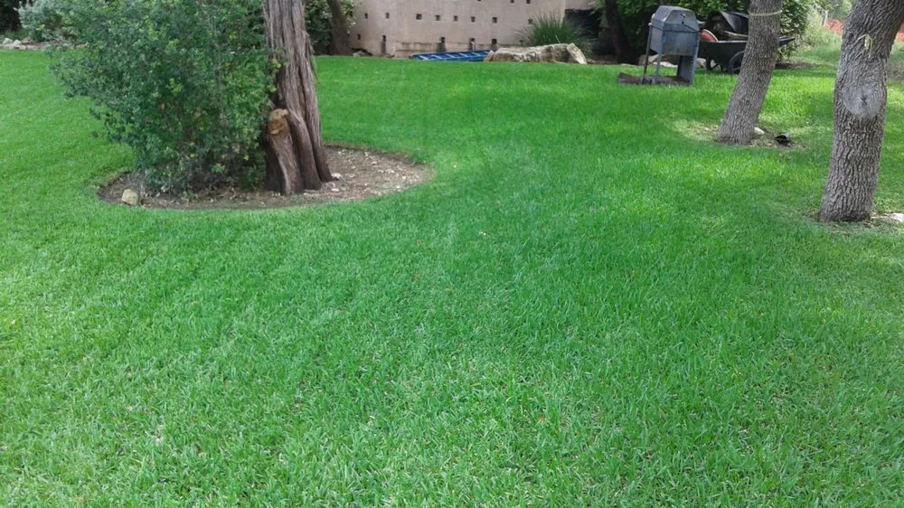 Reliable landscape installation for outdoor upgrades across Manor, TX - Flores Landscape Services