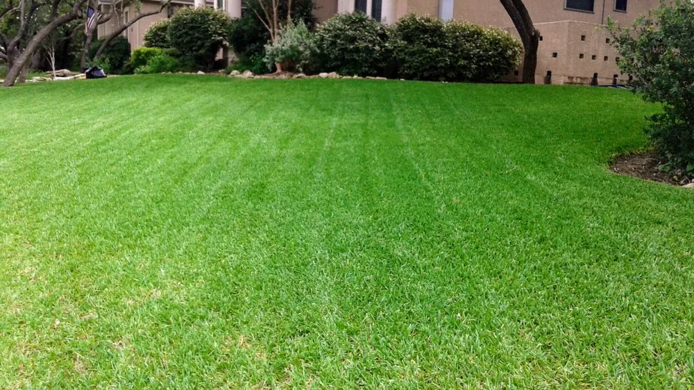 Local outdoor landscaping in Manor, TX by Flores Landscape Services