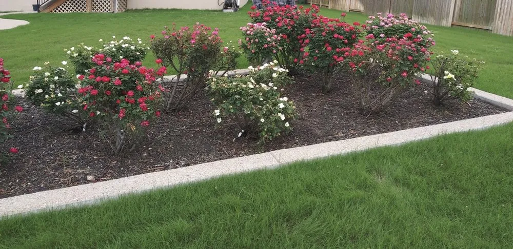 Expert landscape design in Manor, TX - Flores Landscape Services