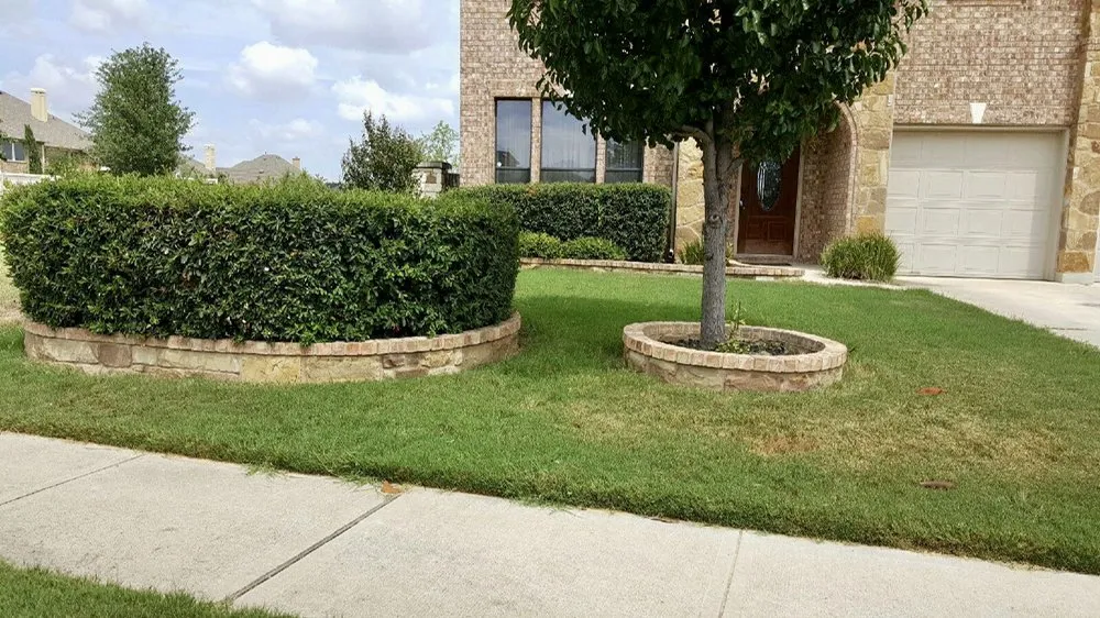 Top-rated residential landscaping in Manor, TX - Flores Landscape Services