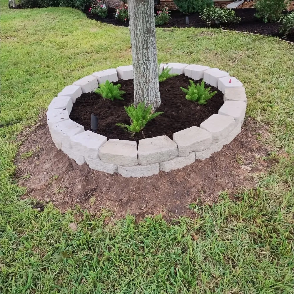 Expert yard maintenance for year-round maintenance in Alice, TX by Flores Landscaping & Clean Up Services