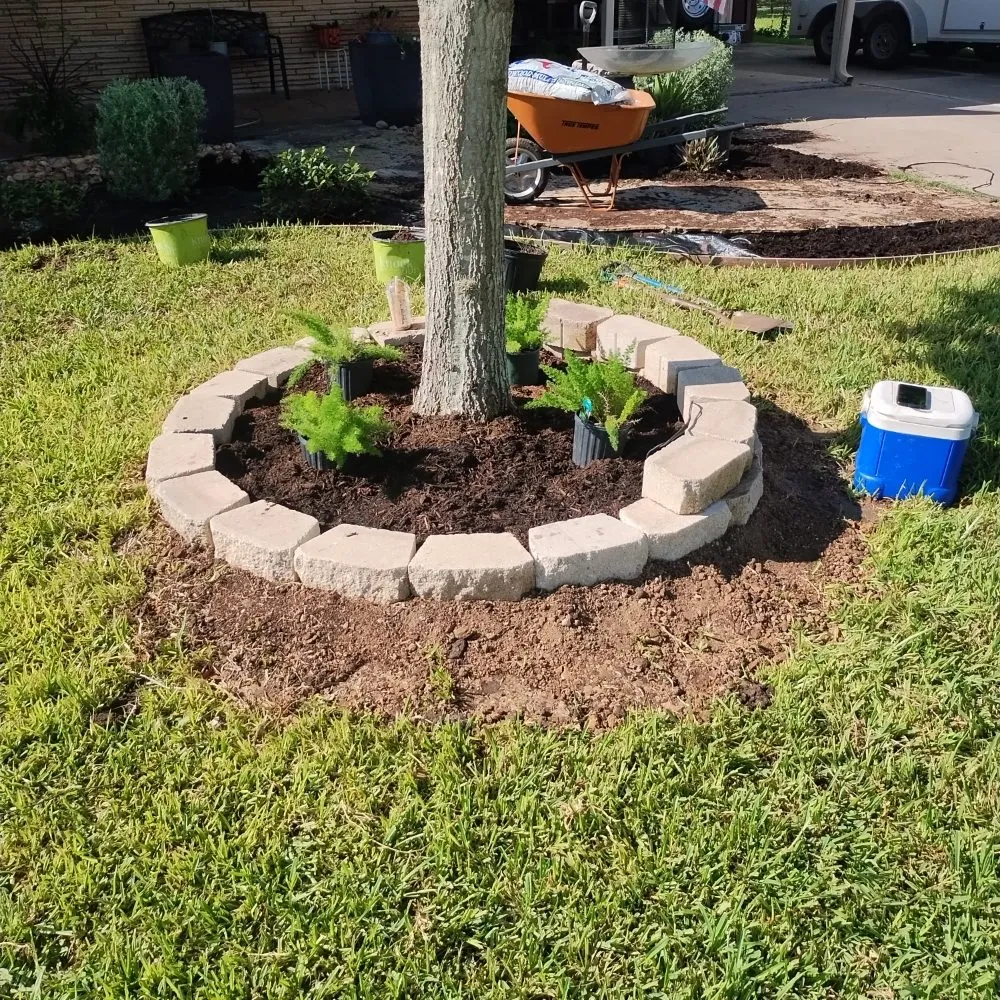 Top-rated lawn care service in Alice, TX by Flores Landscaping & Clean Up Services