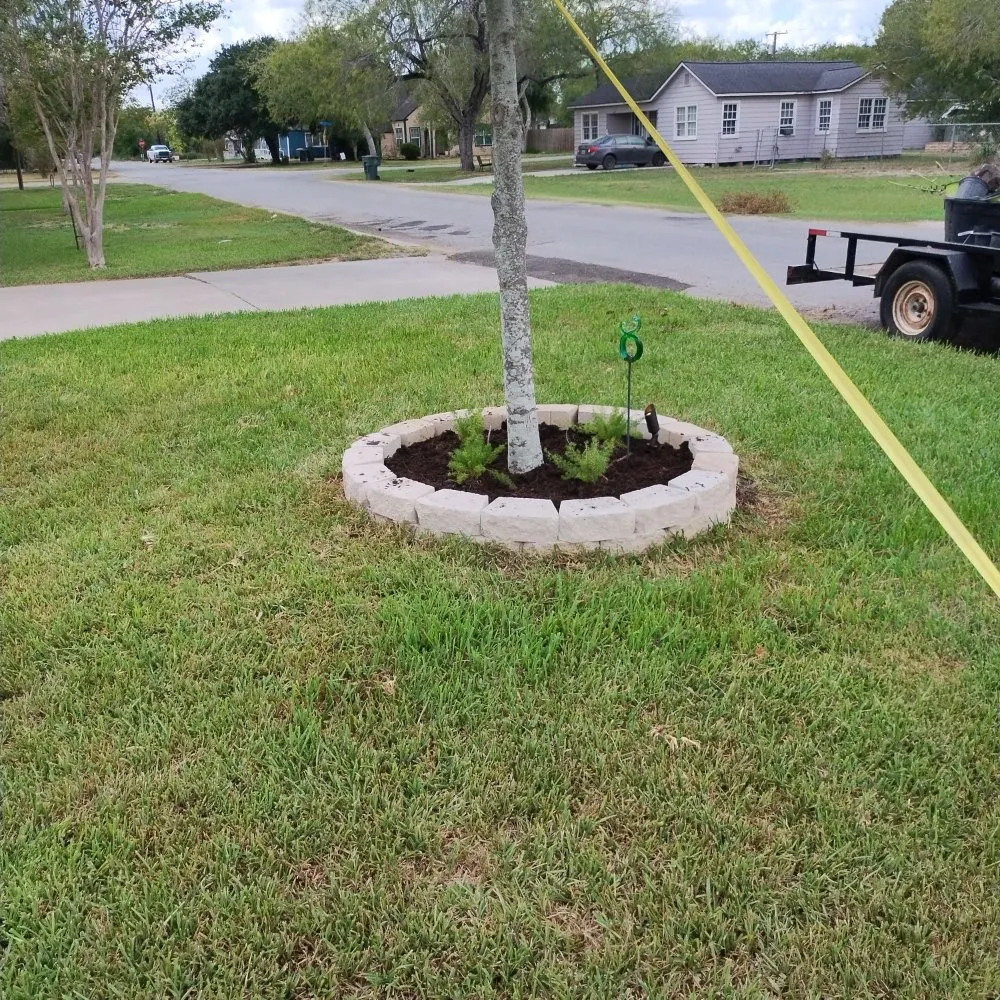 Local yard cleanup service for homes in Alice, TX by Flores Landscaping & Clean Up Services