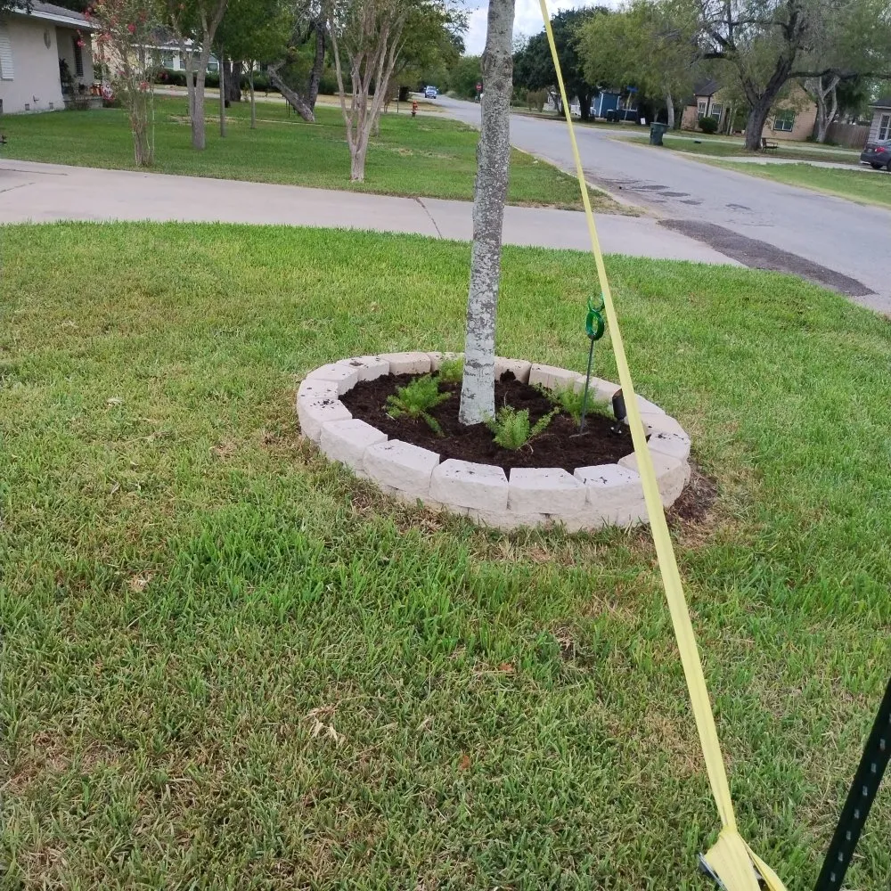 Trusted lawn mowing service with custom design in Alice, TX by Flores Landscaping & Clean Up Services