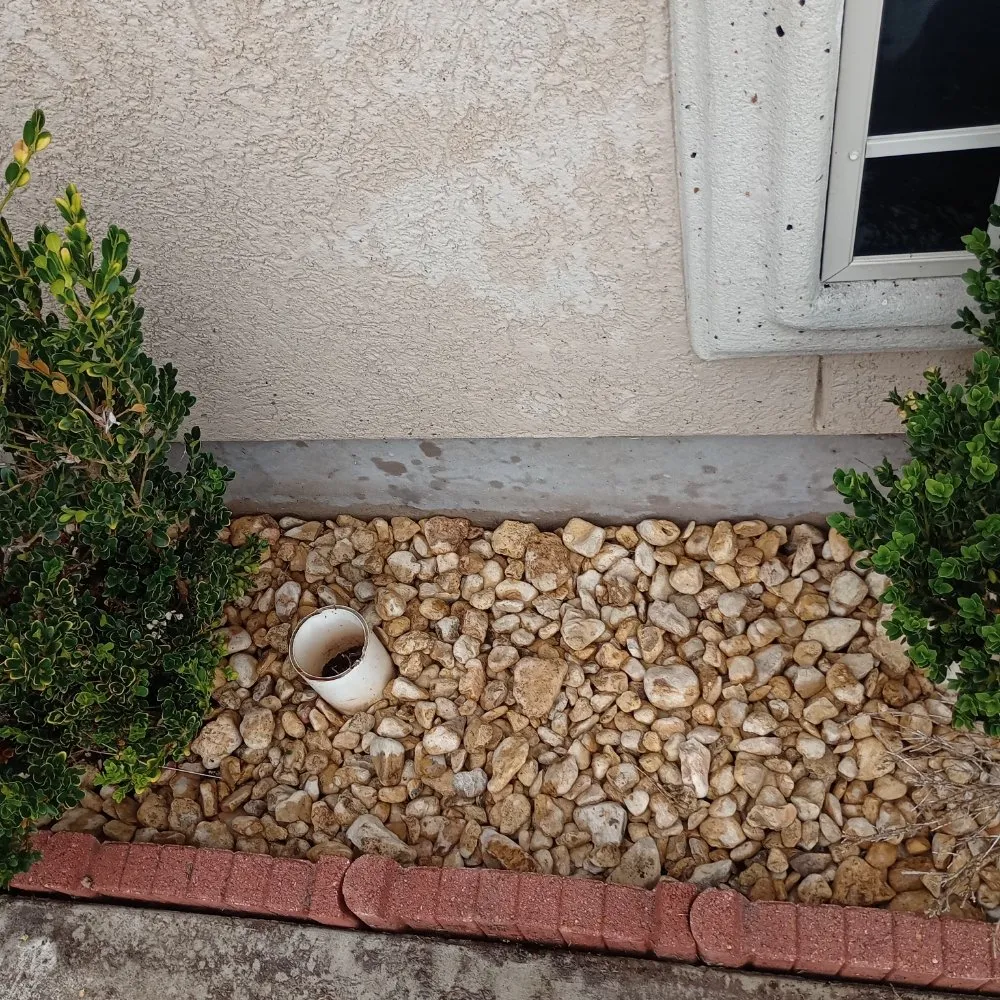 Affordable landscaping services experts serving Alice, TX - Flores Landscaping & Clean Up Services