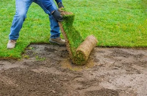 Affordable lawn mowing service in Alice, TX by Flores Landscaping & Clean Up Services