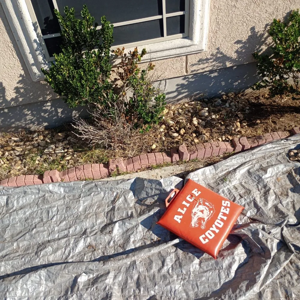 Expert landscape installation in Alice, TX - Flores Landscaping & Clean Up Services