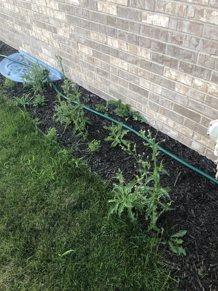 Local lawn mowing service in Joliet, IL - Flores Landscaping & Concrete