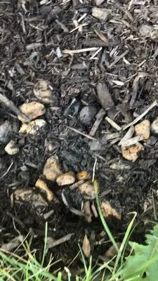 Flores Landscaping & Concrete Logo