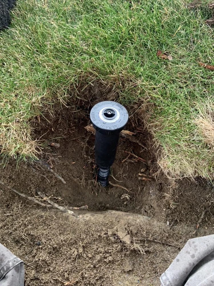 Reliable yard cleanup service experts serving Kennewick, WA - Flores Landscaping & Construction