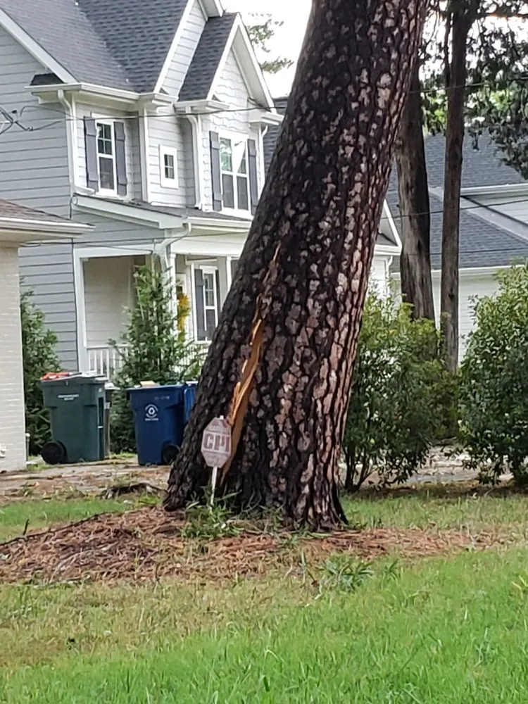 Expert yard maintenance with custom design in Durham, NC by Flores Landscaping & Tree Service