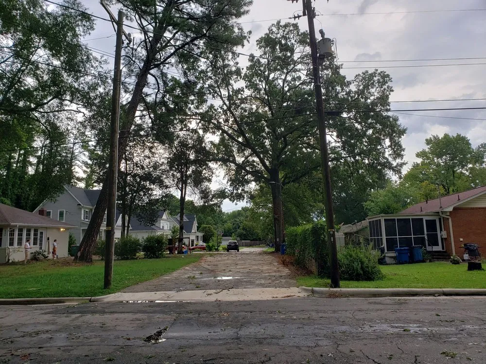 Top-rated yard maintenance experts serving Durham, NC - Flores Landscaping & Tree Service