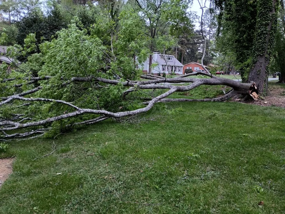 Trusted landscape installation in Durham, NC by Flores Landscaping & Tree Service