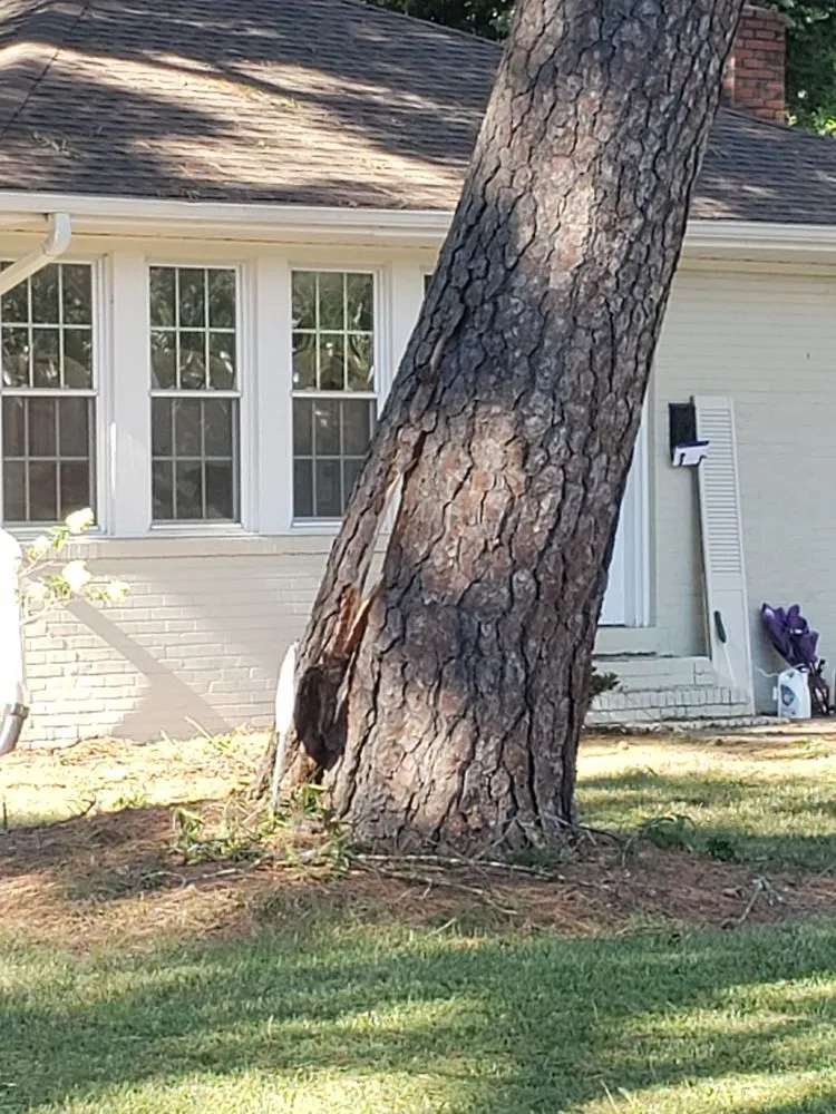 Top-rated landscape installation in Durham, NC - Flores Landscaping & Tree Service