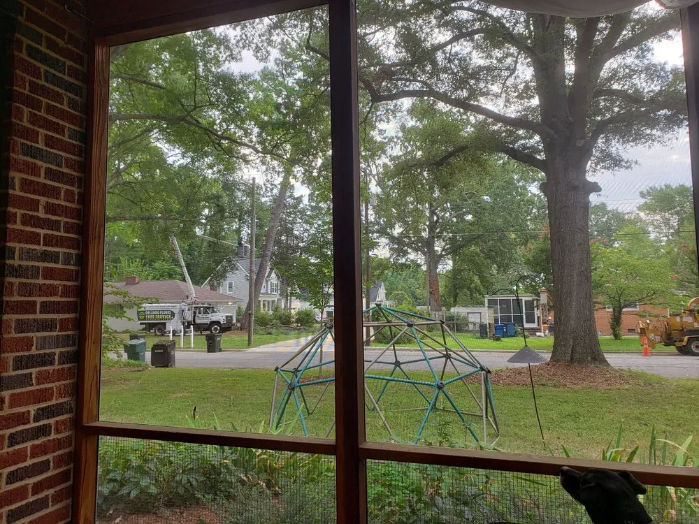 Professional landscaping services experts serving Durham, NC - Flores Landscaping & Tree Service