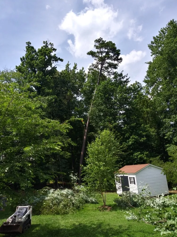 Local residential landscaping with custom design in Durham, NC by Flores Landscaping & Tree Service