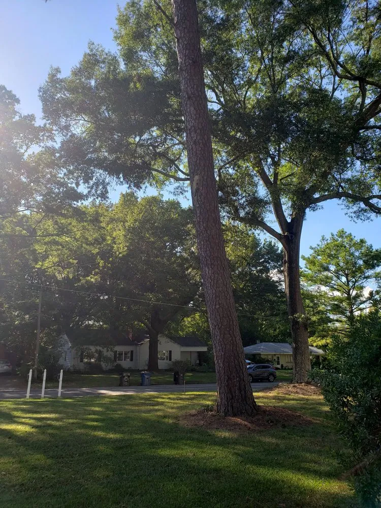 Trusted residential landscaping experts serving Durham, NC - Flores Landscaping & Tree Service