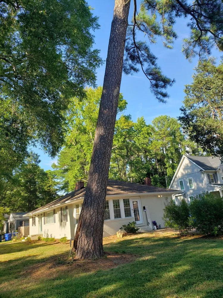 Local yard cleanup service for outdoor upgrades across Durham, NC - Flores Landscaping & Tree Service