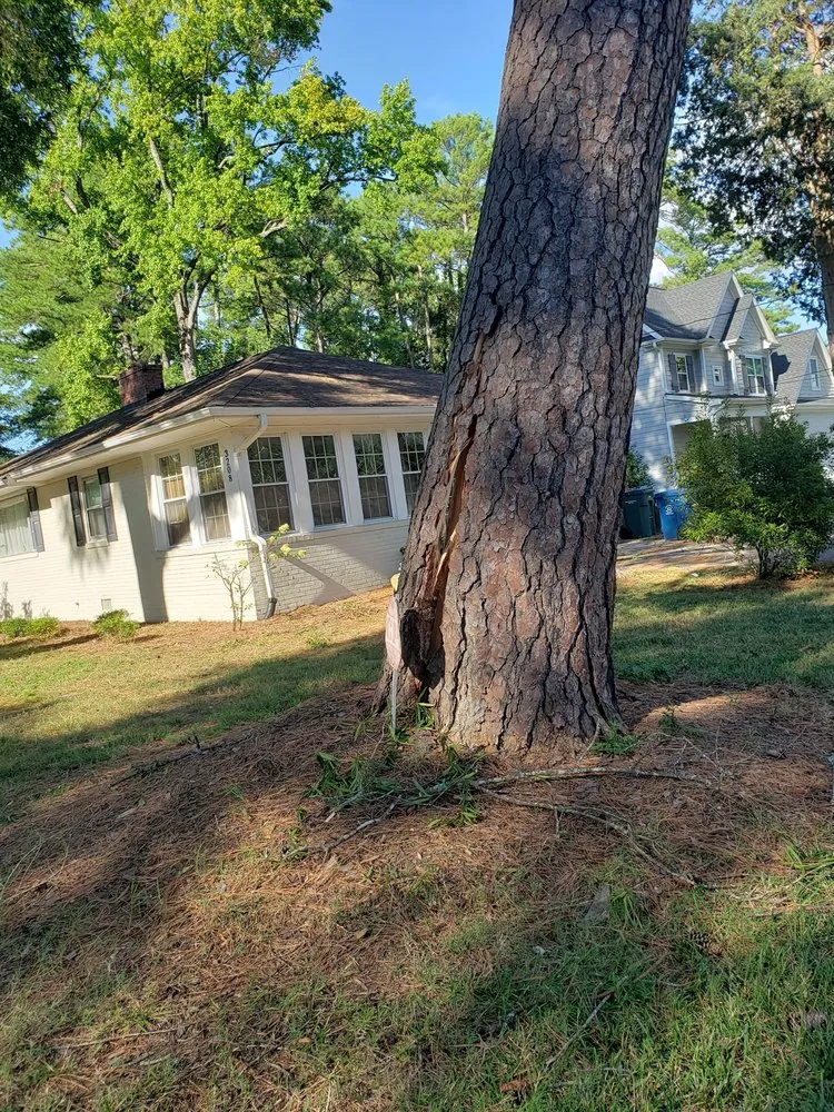 Affordable outdoor landscaping experts serving Durham, NC - Flores Landscaping & Tree Service