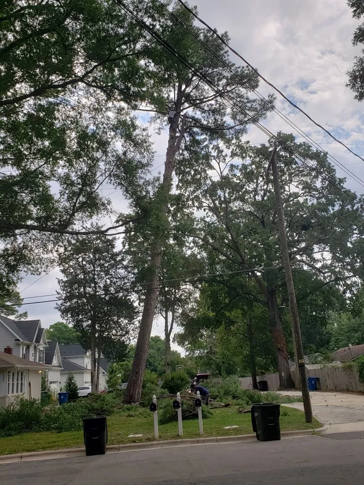 Affordable lawn mowing service for residential properties in Durham, NC by Flores Landscaping & Tree Service