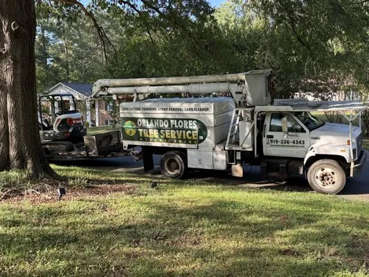 Flores Landscaping & Tree Service Logo